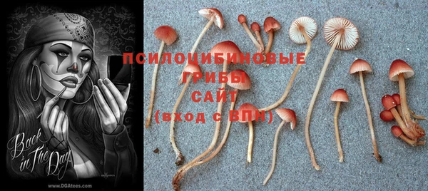МДПВ Осташков