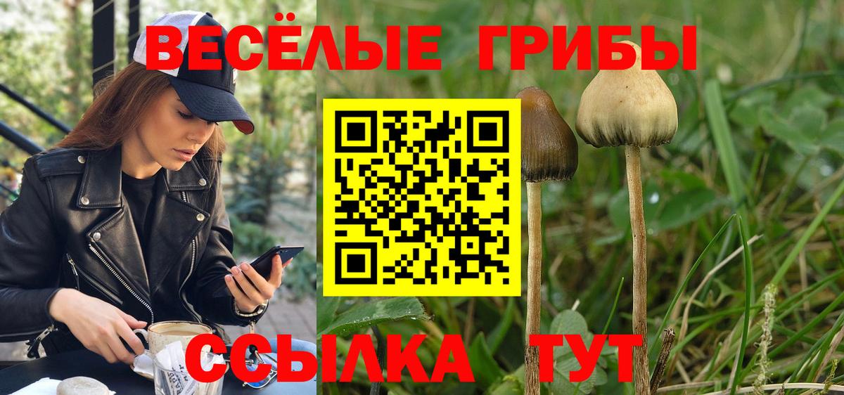 Галлюциногенные грибы Magic Shrooms  Вход с VPN  Мирный 